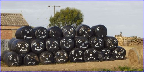 Hay bales with faces at Holme-next-the-Sea - Photo Tony Foster