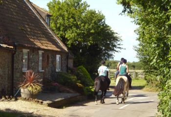 Horses in Westgate, Holme-next-the-Sea - Photo Tony Foster