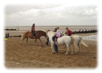Ponies on Hunstanton beach - Photo Tony Foster