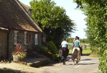Horses in Westgate, Holme-next-the-Sea